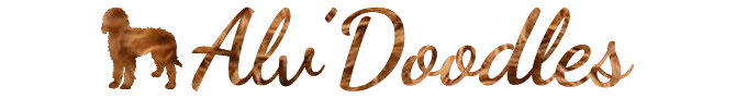 Alv'Doodles